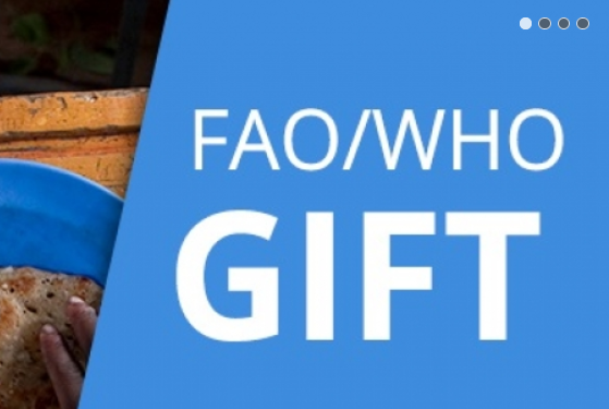 FAO WHO GIFT Global Individual Food Consumption Data Tool Policy 